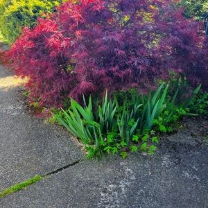 Handmade Totes, Handbags, Other Crafts.